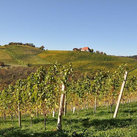 Bed and Breakfast Weingut Koegl Ratsch an der Weinstraße Zewnętrze zdjęcie