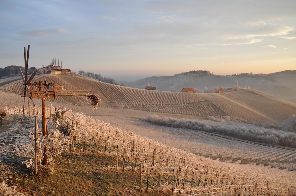 Bed and Breakfast Weingut Koegl Ratsch an der Weinstraße Zewnętrze zdjęcie